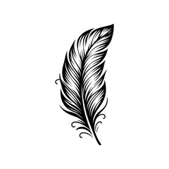 Obraz premium feather logo