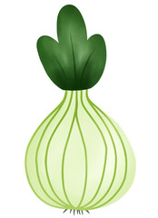 green onion isolated on white