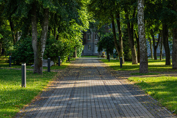 
A peaceful, sunlit park with a wide, paved pathway surrounded by trees and greenery, leading towards a building in the background. Fallen leaves dot the path, and there are no people present.

