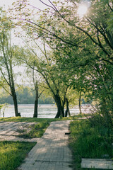 
Sunlit path along a river with trees and green foliage in spring.
