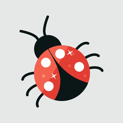 lady bug insect in flat vector design.