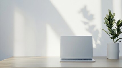 Fototapeta premium Minimalist Workspace with Laptop and Plant