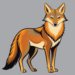 Obraz premium coyote best vector design ai eps file download