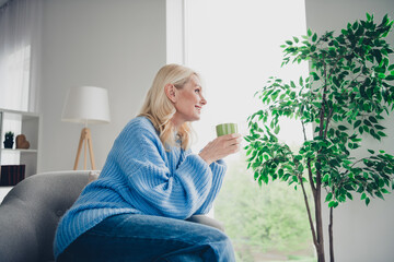 Photo of pretty aged woman enjoy coffee look window wear pullover free time modern apartment indoors