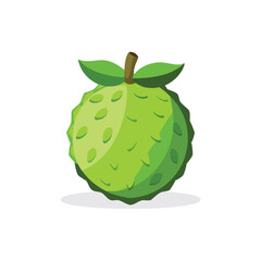  Noni fruit isolated flat vector illustration on white background.