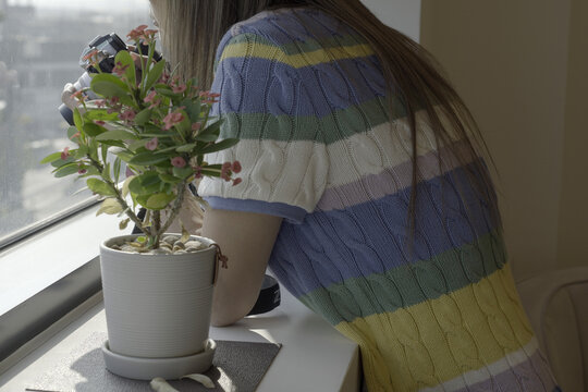 a person who appreciates the scenery by the window of a potted plant