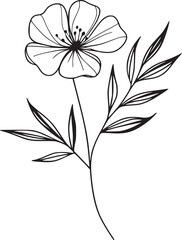 This is an illustration of flowers in a simple and modern line art style.