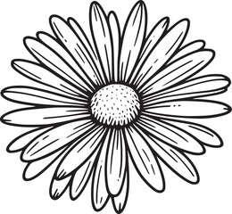 This is an illustration of flowers in a simple and modern line art style.