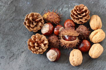 Close up photo of chestnuts on dark grey textured background with space for text. Autumn colors. 