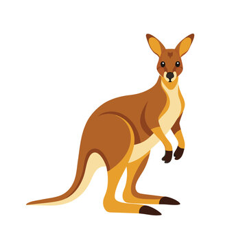 kangaroo best vector design ai eps file download
