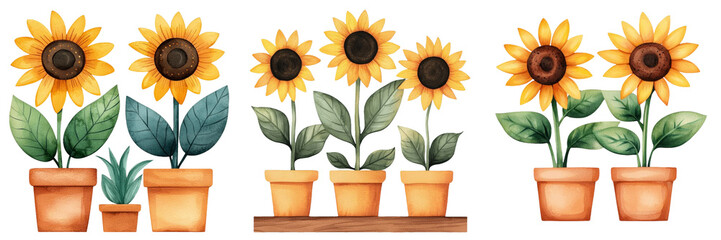 Obraz premium Bright and cheerful sunflowers in terracotta pots create charming display, perfect for adding touch of nature to any space. Their vibrant yellow petals and lush green leaves evoke feelings of warmth