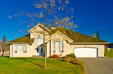 luxury house with garage door, big tree and nice Fall Foliage landscape in Vancouver, Canada