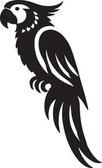 parrot vector style illustration image