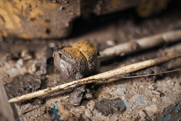 Close up Tools for forming clay on background
