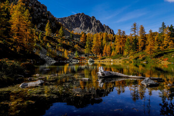Couleurs automnales en montagne