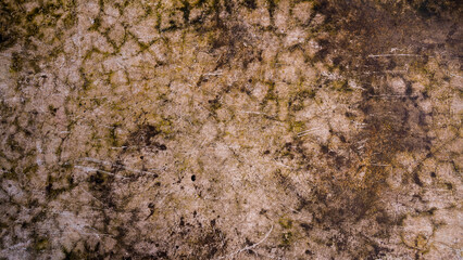 Weathered concrete wall of beige color