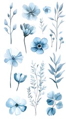 Watercolor blue flowers clip art set, vector illustration, simple and clean, white background