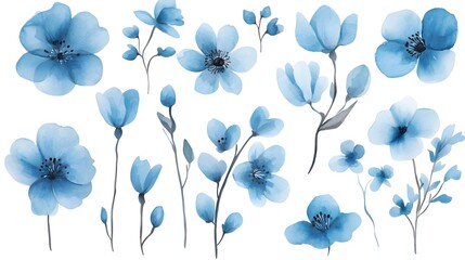 Watercolor blue flowers clip art set, vector illustration, simple and clean, white background