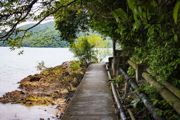 Scenic Lakeside Pathway Surrounded by Lush Greenery