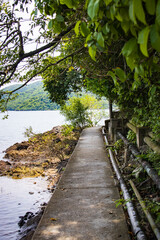 Scenic Lakeside Pathway Surrounded by Lush Greenery