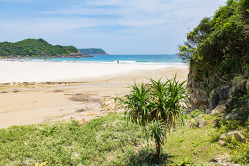 Scenic Beach with Lush Green Vegetation and Clear Blue Waters