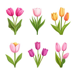 Vibrant Set of Multicolored Tulips: A Celebration of Spring's Beauty and Diversity in Bloom