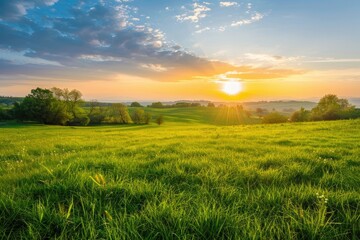 Green grass with sunset views.