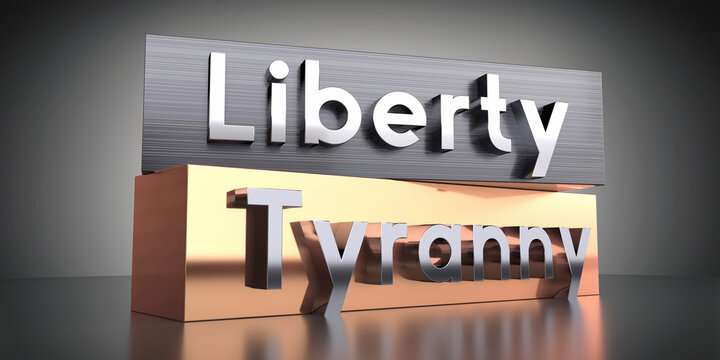 Liberty, tyranny - words on metal blocks - 3D illustration