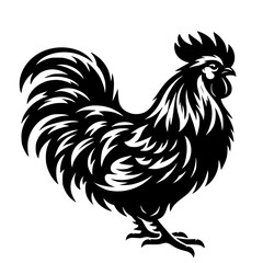 Chicken vector silhouette isolated on white background 