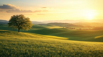 Obraz premium serene landscape view of a vast meadow stretching towards the horizon, with rolling hills in the distance