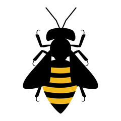 Little bee animal silhouette. Vector image