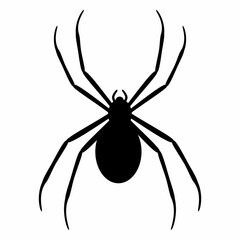 Spider animal silhouette flat image