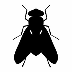 Fly animal silhouette flat image