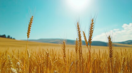 Naklejka premium Beautiful Wheat Field, Generative AI
