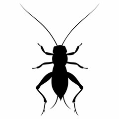 Cricket animal silhouette. Flat image