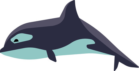 Orca color icon. Marine water animal swimming