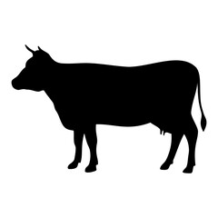 Cow animal silhouette. Vector image