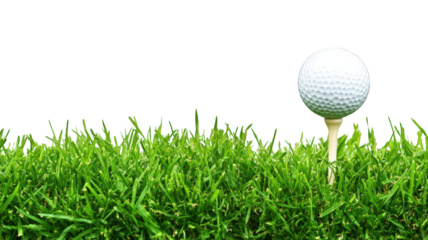golf ball is perched on tee, surrounded by lush green grass, creating vibrant scene perfect for golf enthusiasts. image captures essence of sport and beauty of outdoor setting