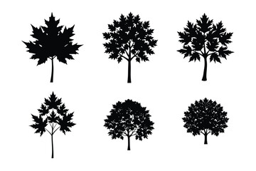 Obraz premium Black silhouettes set of maple leaves Silhouette illustration bundle collection - Autumn fallen leaves of maple