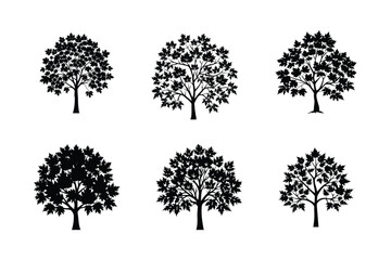 Fototapeta premium Black silhouettes set of maple leaves Silhouette illustration bundle collection - Autumn fallen leaves of maple