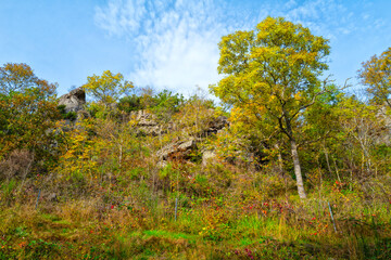 couleurs d'automne paysage auvergnat