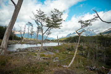 Paisajes de Tierra del Fuego, Argentina, durante la temporada de verano. 