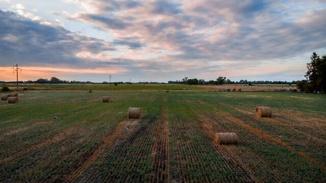 pasajes de los campos de la provincia de buenos aires, argentina, donde se puede apreciar la extensa llanura de la regi&oacute;n pampeana.