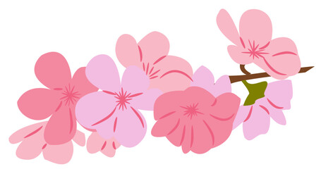 Cherry Blossom Flower