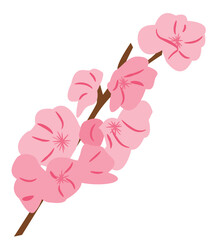Cherry Blossom Flower