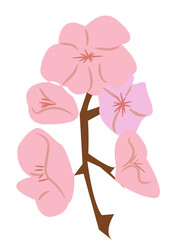 Cherry Blossom Flower