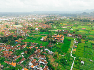 Aerial drone view of green paddy fields scenery at Gelgel Village in Klungkung, Bali, Indonesia.
