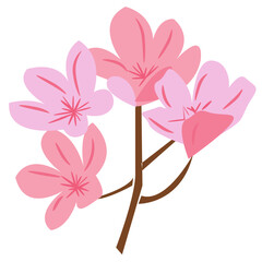 Cherry Blossom Flower