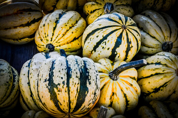 Kürbis, Jester, Cucurbita Pepo, Speisekürbis, Kürbisernte, Kürbisrezept, Herbst, Herbstmarkt,...