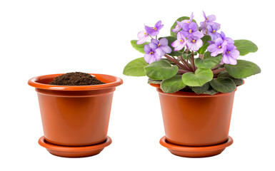 flower pot isolated